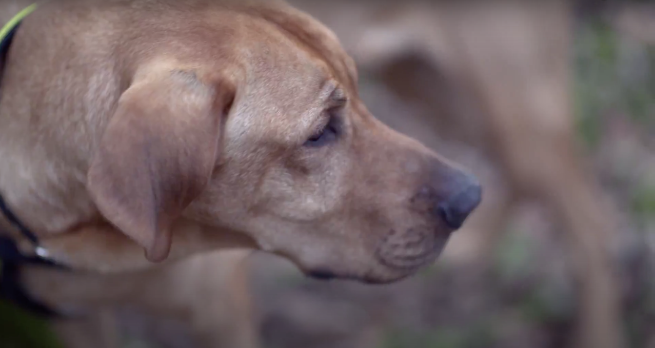 Bildschirmfoto 2021-01-24 um 21.49.09